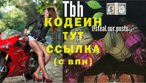 дурь Нея