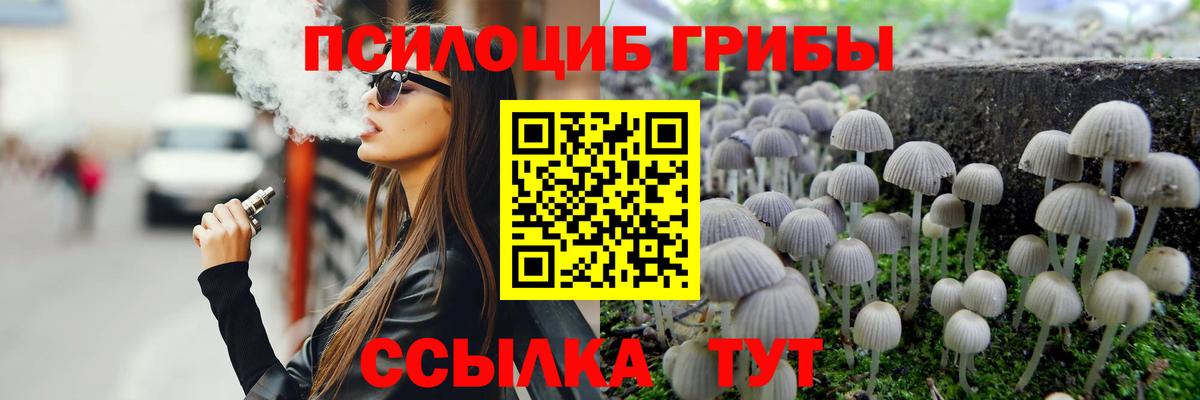 Амурск  как найти закладки  Вход с VPN  Псилоцибиновые грибы Psilocybine cubensis 