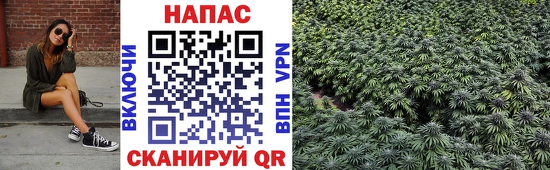 Конопля White Widow  МЕГА как зайти  Амурск 